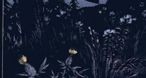 بابا یاگا | سوده نگین‌تاج